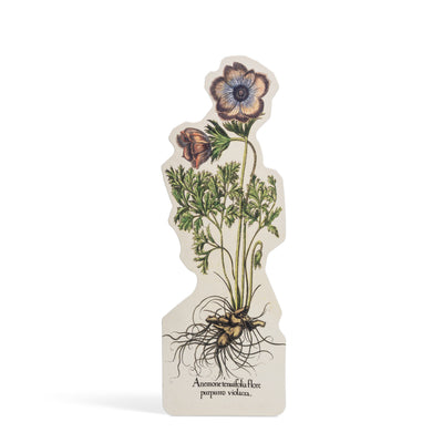 Marca páginas botánico Hortus Eystettensis