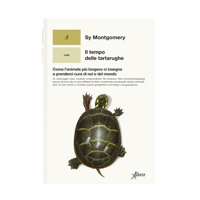 Il tempo delle tartarughe