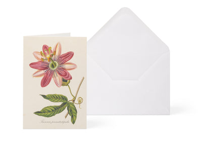Botanical greeting card - Rectangular shape