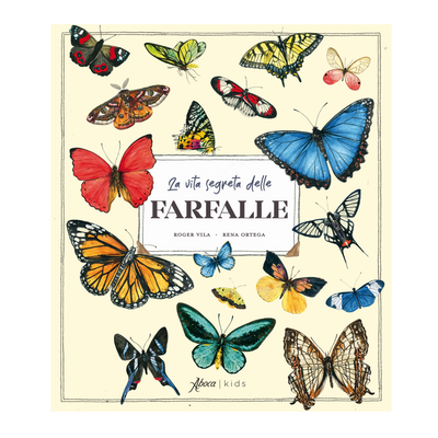 La vita segreta delle farfalle