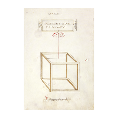 Impresión Hexaedro  - La Botánica de Leonardo