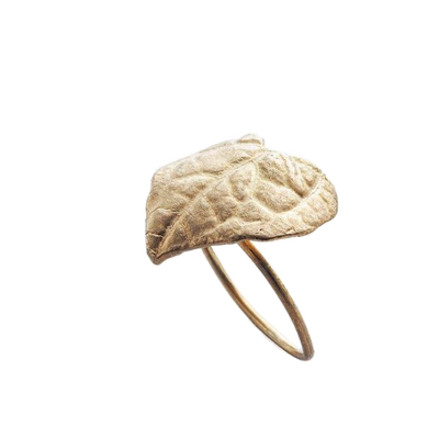 Anello I cuori della Natura