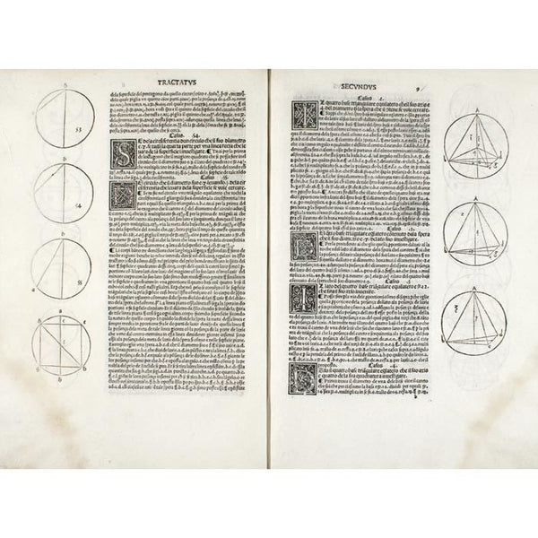 Antologia della Divina Proporzione di Luca Pacioli, Piero della Francesca e  Leonardo da Vinci