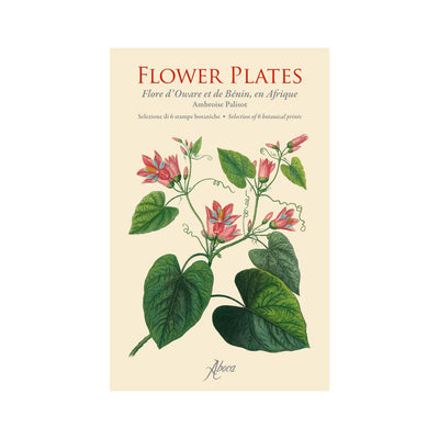 Caja Flower Plates Flore d'Oware et de Bénin, en Afrique