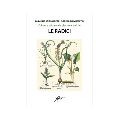 Le radici