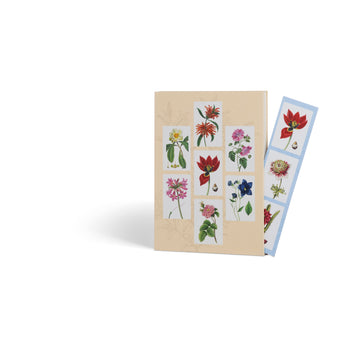 Notebook Aboca Museum