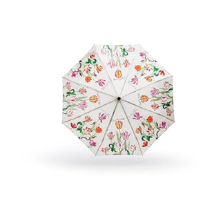 Aboca Museum umbrella
