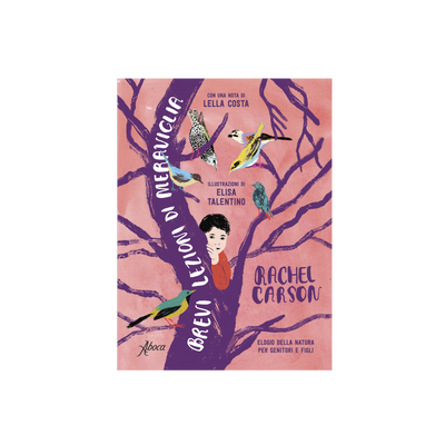 Brevi lezioni di meraviglia