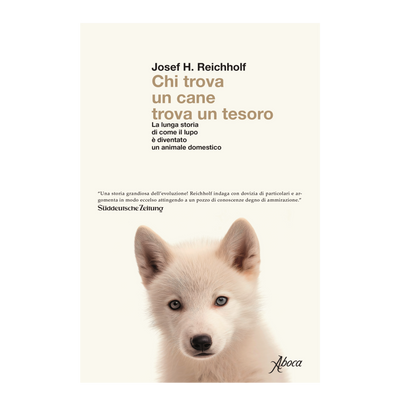 Chi trova un cane trova un tesoro
