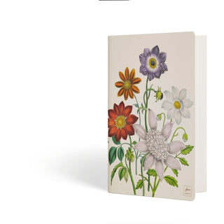 Chemise porte-documents Dalia