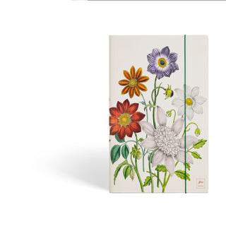 Chemise porte-documents Dalia