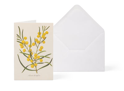 Biglietto di auguri botanico - Rettangolare