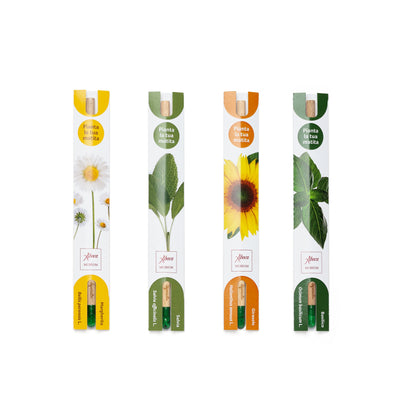 Matita Sprout Aboca Museum - Girasole