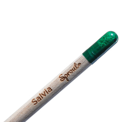 Matita Sprout Aboca Museum - Salvia