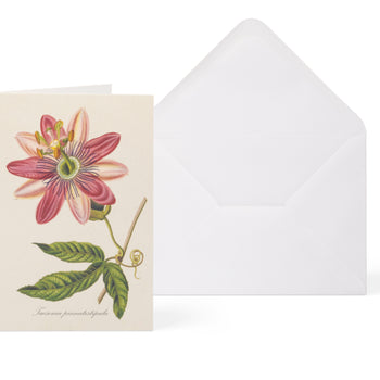 Biglietto di auguri botanico - Rettangolare