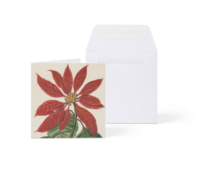 Biglietto di auguri botanico - Quadrato