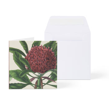 Biglietto di auguri botanico - Quadrato