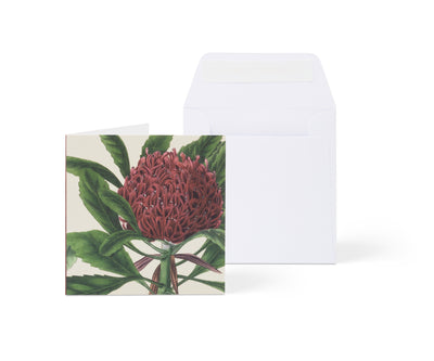 Biglietto di auguri botanico - Quadrato