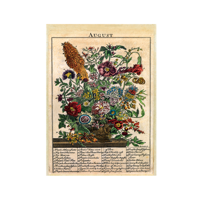 Stampa botanica The Flower Garden