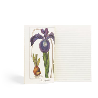 Quadernino Aboca Museum