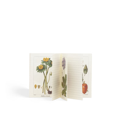 Taccuino Aboca Museum