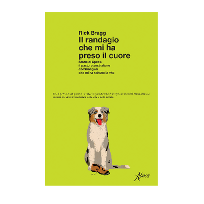 Il randagio che mi ha preso il cuore