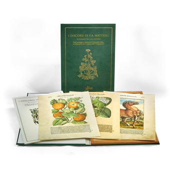 Mattioli 12 Collector's Prints