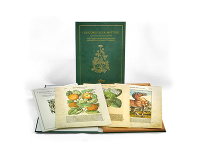 Cofanetto 12 tavole I Discorsi di P.A. Mattioli