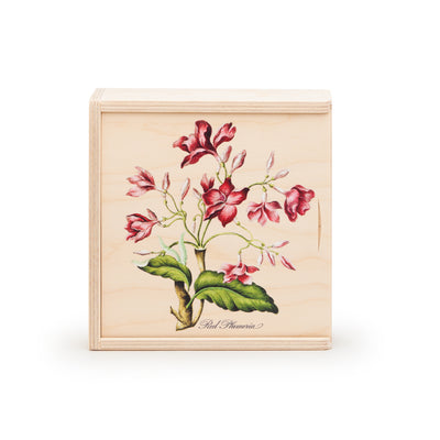 Cofanetto in legno decoro Plumeria rossa con 24 tisane