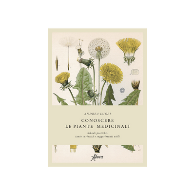 Conoscere le piante medicinali