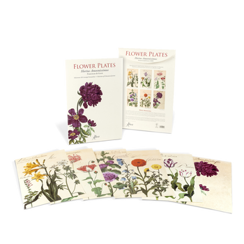 Flower Plates Hortus Amoenissimus box