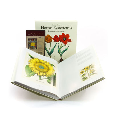 Hortus Eystettensis commentarium