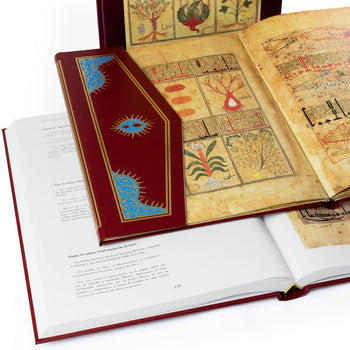 Kitâb al-Diryâq - Paris Theriac