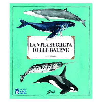 La vita segreta delle balene