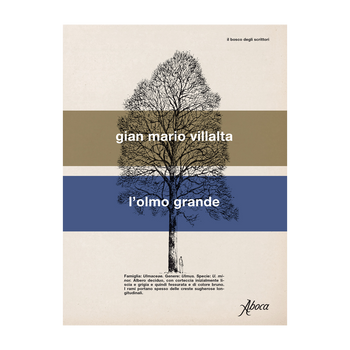 L'olmo grande