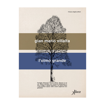L'olmo grande