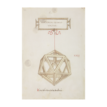 Impresión Icosaedro -  La Botánica de Leonardo
