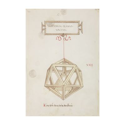 Stampa Icosaedro "La Botanica di Leonardo"