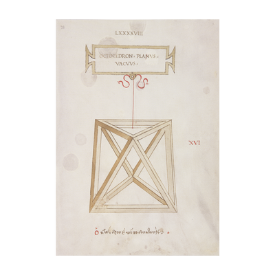 Stampa Ottaedro "La Botanica di Leonardo"