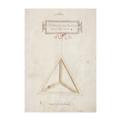 Stampa Tetraedo "La Botanica di Leonardo"