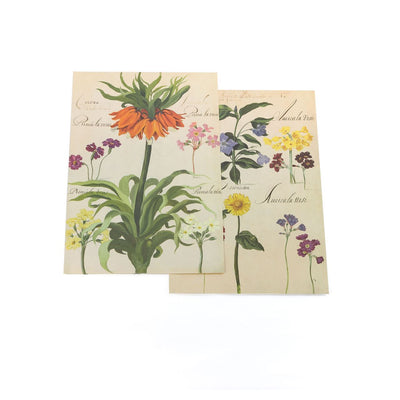 Flower plates De Geest Corona imperiale